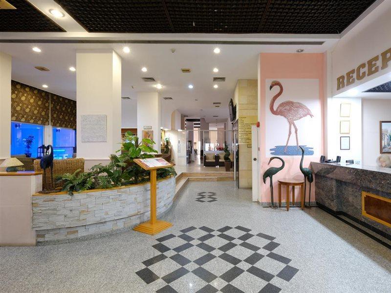 Flamingo Beach Hotel Larnaca Esterno foto